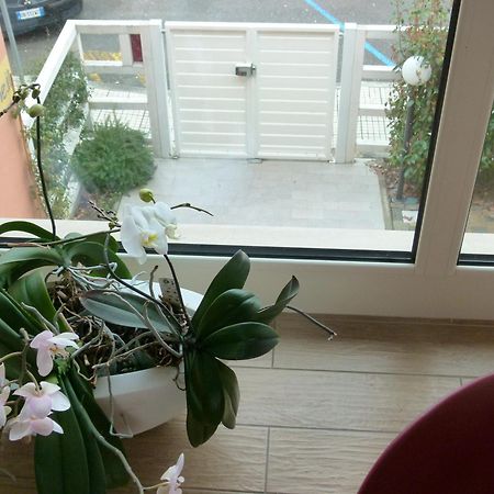 Vele Storiche Pisane Hotel ภายนอก รูปภาพ